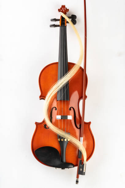 istock Violin and bow on a light background. A new stringed musical instrument. White background 1143567755