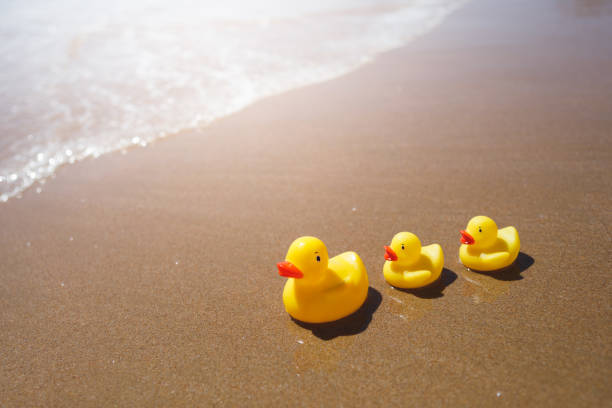 istock yellow rubber ducks on the beach 1143570728