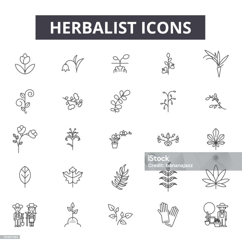 Herbalist line icons, signs set, vector. Herbalist outline concept, illustration: herbalist,medicine,natural,health,alternative,nature,herbal,organic Herbalist line icons, signs set, vector. Herbalist outline concept illustration: herbalist,medicine,natural,health,alternative,nature,herbal,organic Healthy Lifestyle stock vector