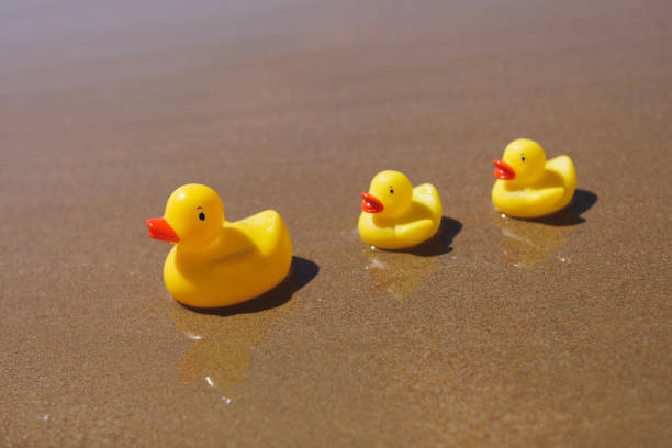 istock yellow rubber ducks on the beach 1143571793