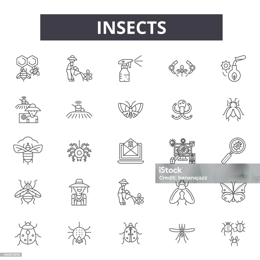 Insects line icons, signs set, vector. Insects outline concept, illustration: bug,black,insect,spider,beetle,fly,ant Insects line icons, signs set, vector. Insects outline concept illustration: bug,black,insect,spider,beetle,fly,ant Insect stock vector