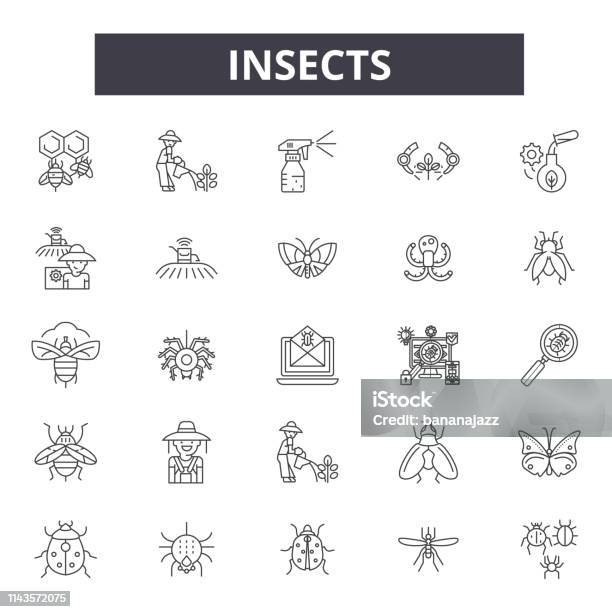 Insects Line Icons Signs Set Vector Insects Outline Concept Illustration Bugblackinsectspiderbeetleflyant Stock Illustration - Download Image Now