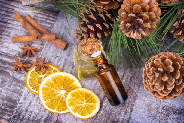 istock Pine cone plant, pine cone oil with various plants 1143578347