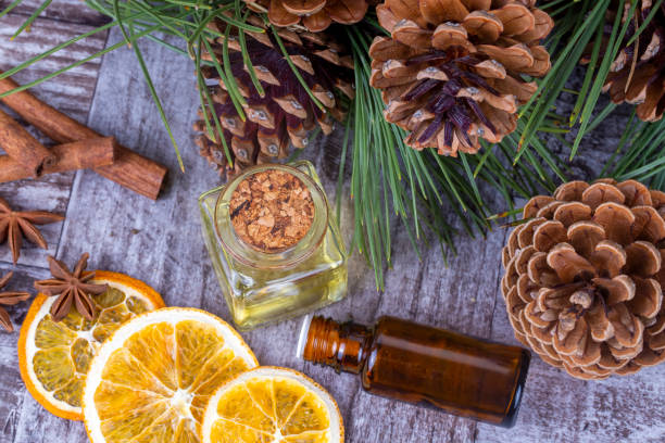istock Pine cone plant, pine cone oil with various plants 1143578399