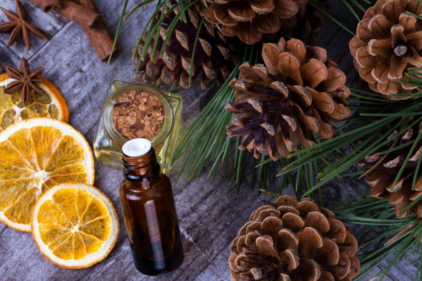 istock Pine cone plant, pine cone oil with various plants 1143578448