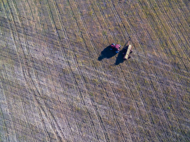istock Field pampeano.vista aerial 1143580956
