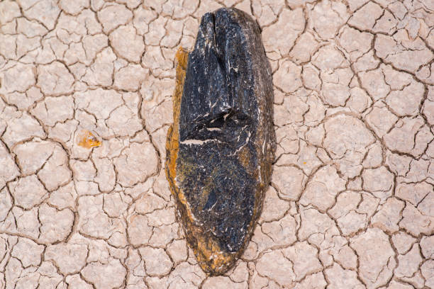 istock Ancient arrowhead / spearhead found stuck in the mud / dirt - rain eroded the mud making artifact visible - in the Badlands National Park - Native American artifact 1143584827
