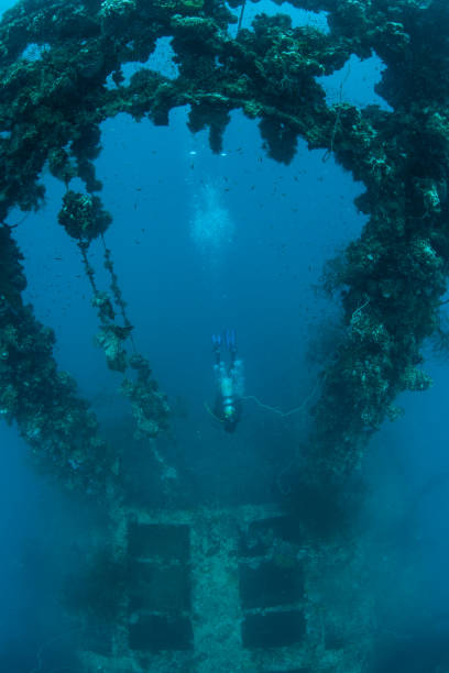 istock Scuba Diver and Japanese Shipwreck in Palau 1143585199