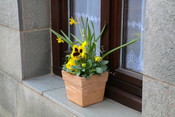 Street stone flowerpot with a composition of blue and orange flowers