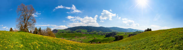 Sunny Day, Springtime in Beautiful Landscape near Hütten, Zurich Canton, Switzerland stock photo