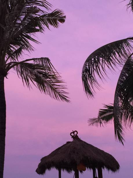 Pink sunset Bali stock photo