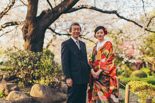 A beautiful Japanese woman is dressed in traditional Japanese Kimono dress standing in a park with her father under Sakura blossoms. They are looking at the camera for a portrait representing traditional Japanese culture in Sumida Park, Tokyo, Japan.