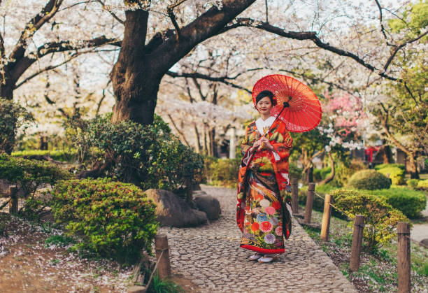Beautiful Japanese Woman in Kimono A beautiful Japanese woman is dressed in traditional Japanese Kimono dress holding an umbrella while standing in a park under Sakura blossoms. She is looking at the camera for a portrait representing traditional Japanese culture in Sumida Park, Tokyo, Japan. kimono photos stock pictures, royalty-free photos & images