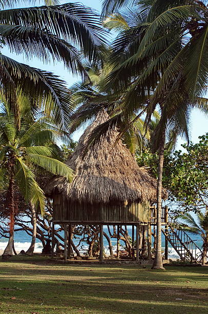 istock Wooden holiday hut on a dream beach 114359214