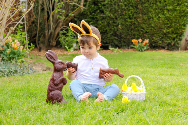 cute little baby boy with bunny ears on head holding  chocolate easter bunnies sitting on green grass outside in the spring garden with basket of easter eggs loking with interest at big chocolate rabbit. happy sweet childhood - baby chicken young bird young animal easter imagens e fotografias de stock