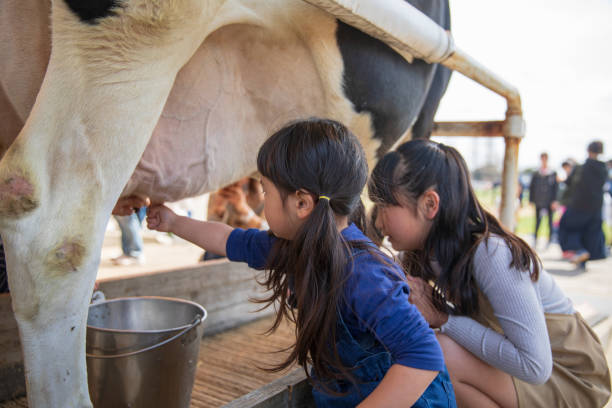 6 years old boy with glass of milk - kids