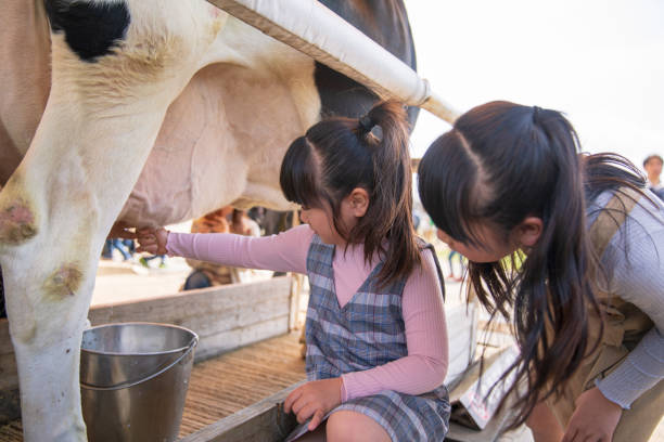 istock Little sisters miking at farm 1143601447