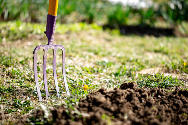 istock Garden Fork in the Vegetable Garden 1143602637