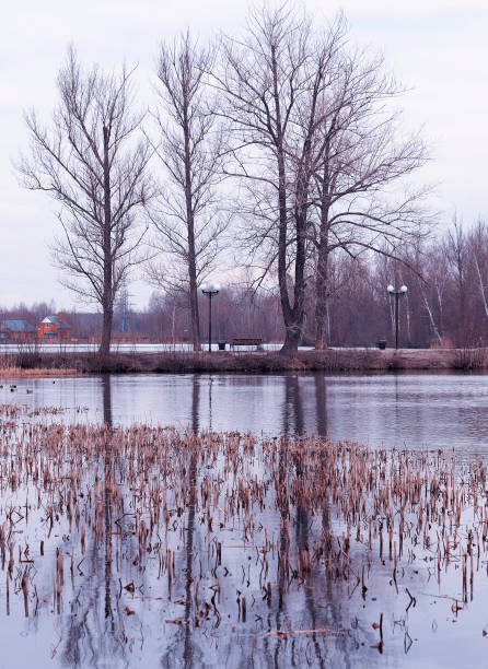 istock Vertical water creek at spring park landscape background 1143603735