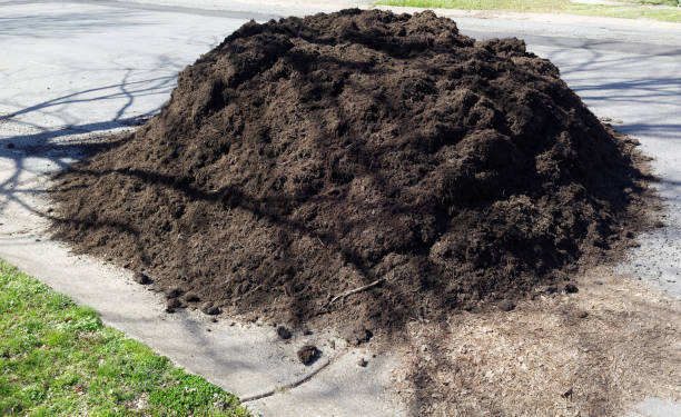 istock Pile of Home Gardening Mulch 1143605082