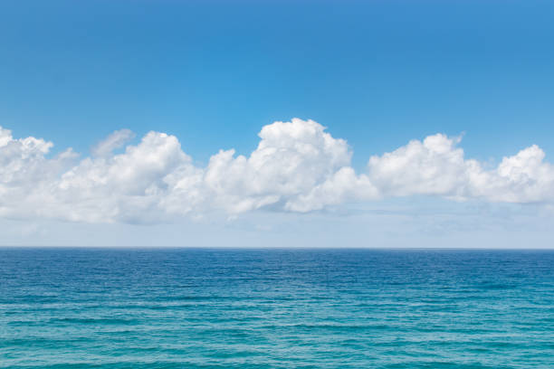 istock tropical summer beach ocean and clouds for texture 1143606010