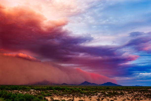 Dust storm in the desert Haboob dust storm with dramatic sky and clouds at sunset in the Arizona desert. monsoon stock pictures, royalty-free photos & images