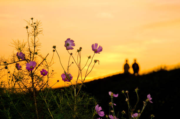 Morningburn cosmos and two people