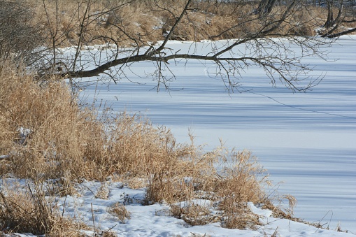 Scenic winter perspective on the Rum River and riverbank foliage in central Minnesota region.