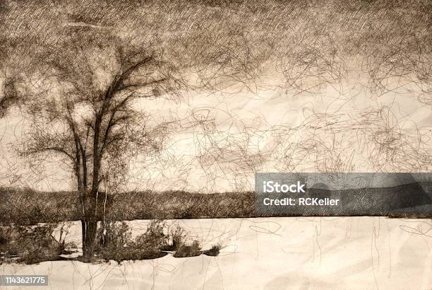 Sketch Of A Tree Standing Beside Frozen Lake Stock Illustration - Download Image Now - Blue, Cold Temperature, Drawing - Art Product