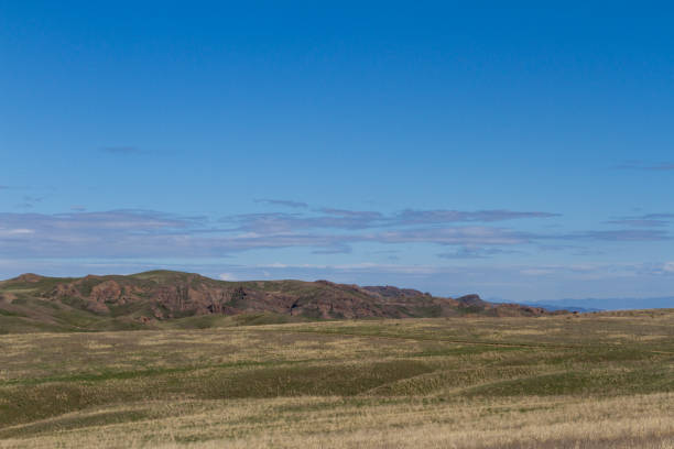 istock spring in the steppe of Kazakhstan 1143621976