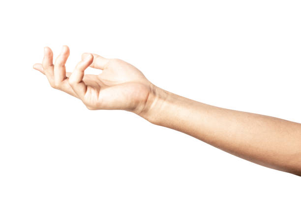 istock Hand open and ready to help or receive. Gesture isolated on white background with clipping path. 1143621977