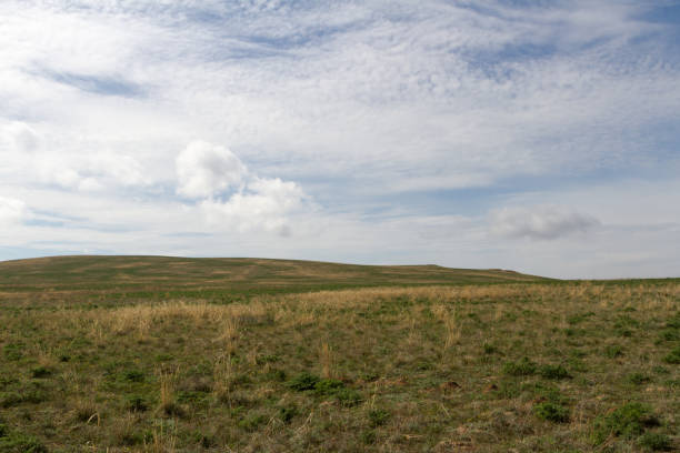 istock spring steppe of Kazakhstan 1143624999