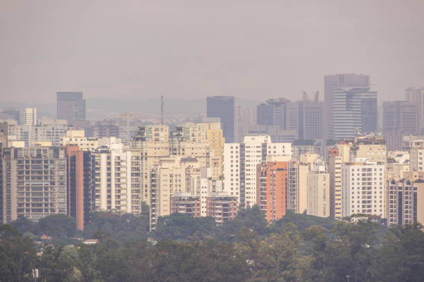 gebäude der innenstadt von sao paulo - southeastern region sao paulo state sao paulo brazil stock-fotos und bilder