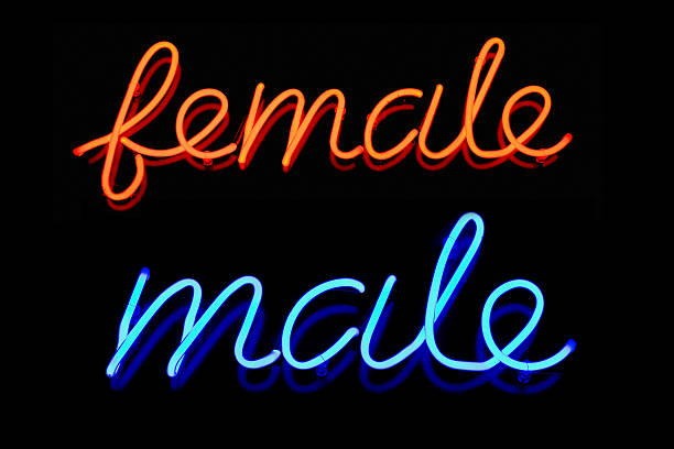istock Female Male neon sign 114363080