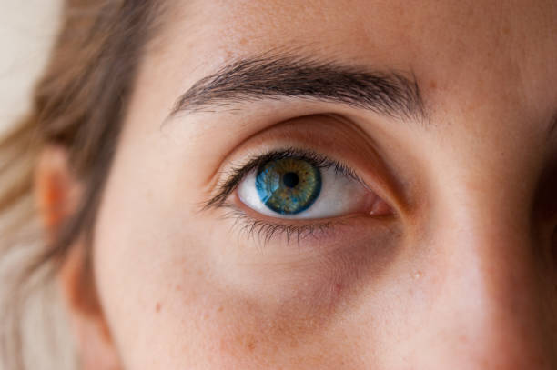 istock the colorful eye 1143630961