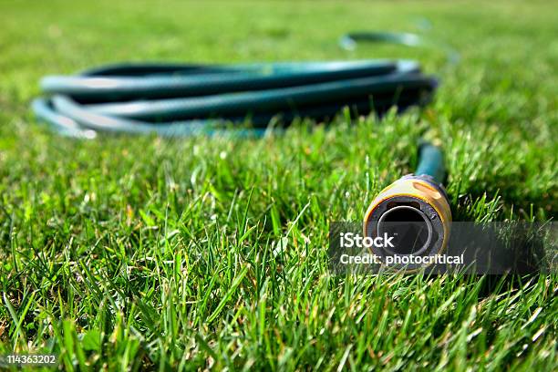 Coiled Green Hose With Nozzle Pointing Out Laying On Grass Stock Photo - Download Image Now