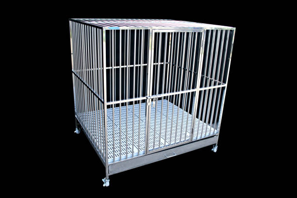 Cages for dog or animals made from stainless steel put on black background. stock photo