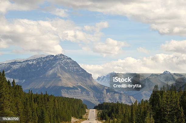 Estrada Icefields - Fotografias de stock e mais imagens de Alberta - Alberta, Alfalto, América do Norte