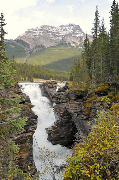 istock Athabasca Falls,  Jasper National Park, Alberta,Canada. 114363703