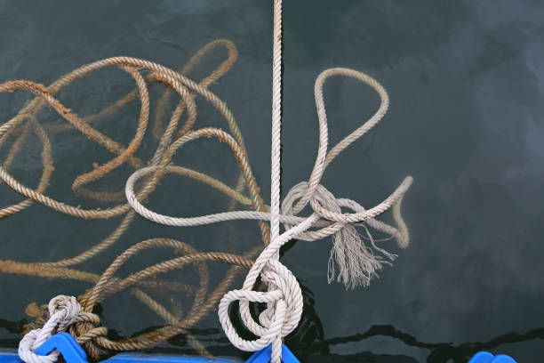 istock Ship rope knot in water. 1143637982