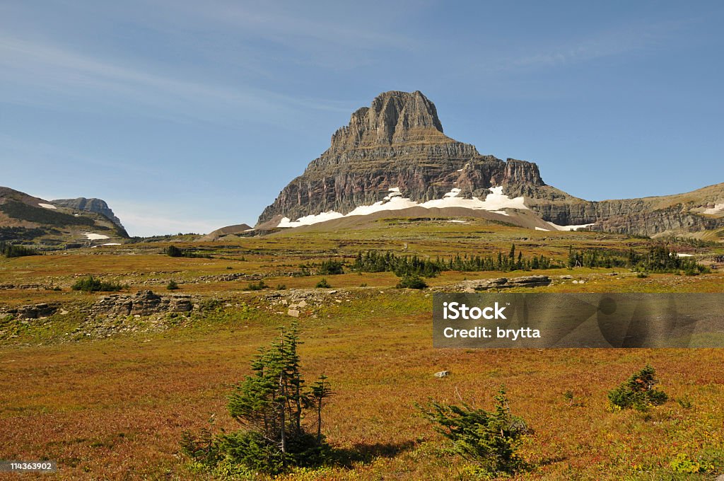 Paisaje cerca del Logan Pass - Foto de stock de Aire libre libre de derechos