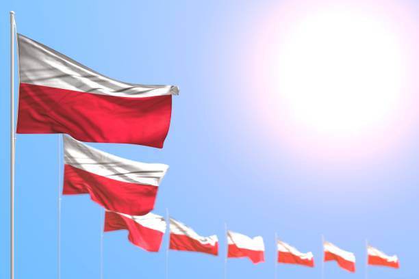 nice day of flag 3d illustration\n - many Poland flags placed diagonal with soft focus and empty place for content