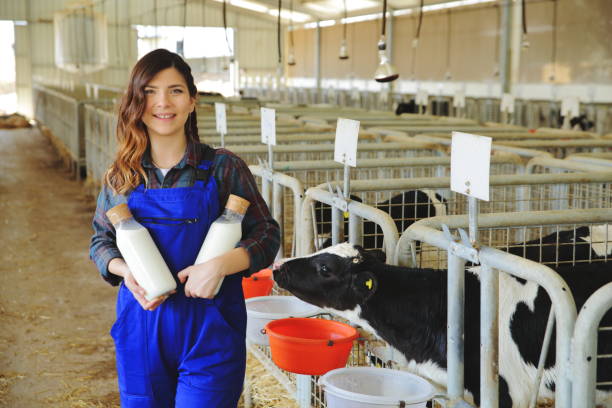 istock Farmer with fresh milk in stall 1143643533