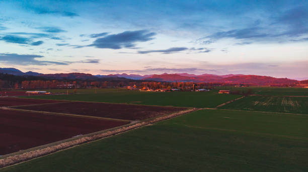 vista aérea del campo agrícola durante la agradable puesta de sol - langley fotografías e imágenes de stock