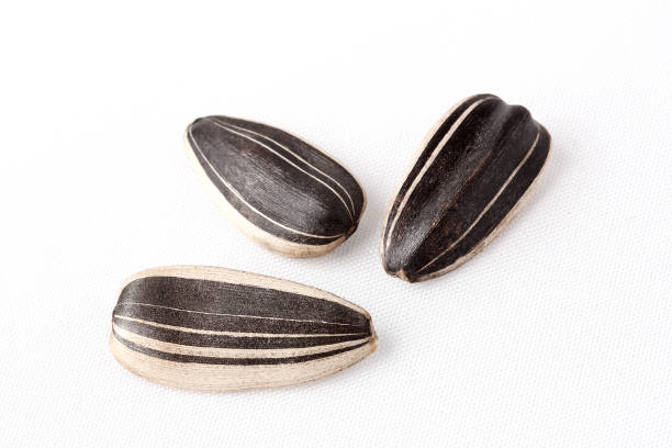 istock sunflower seeds isolated white background 1143647104