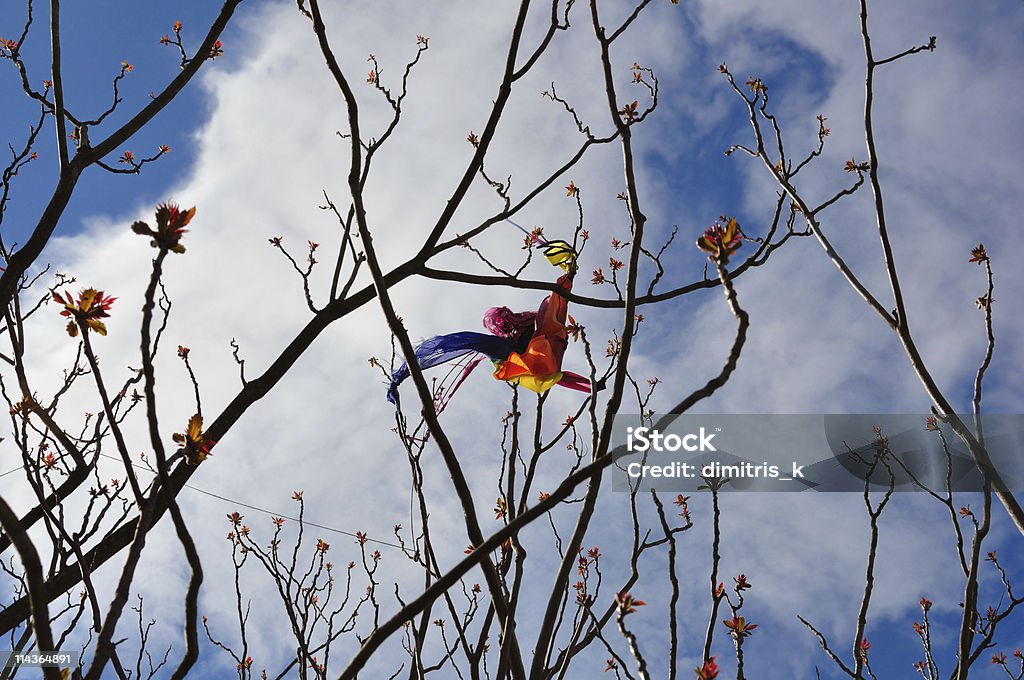 kite Emaranhado em ramos da árvore - Royalty-free Abstrato Foto de stock