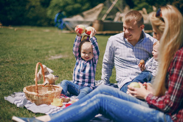 istock Family at a picnic 1143653387