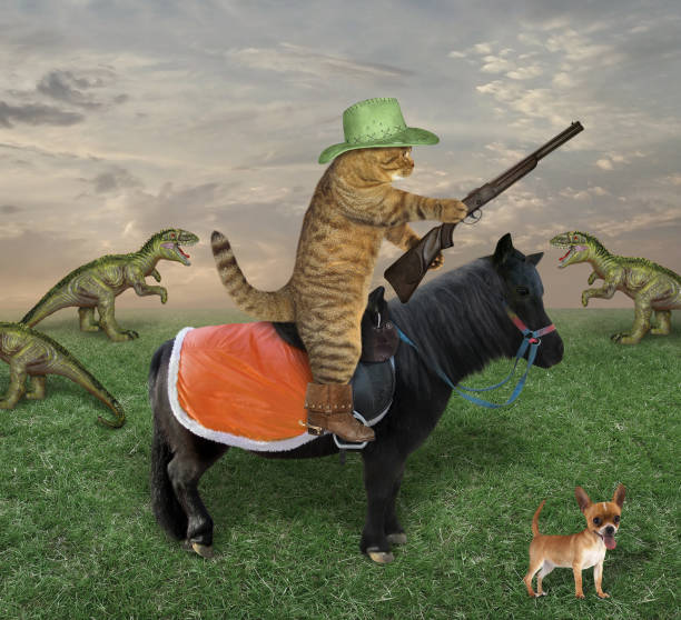 istock Cat with a gun grazes dragons 1143654992