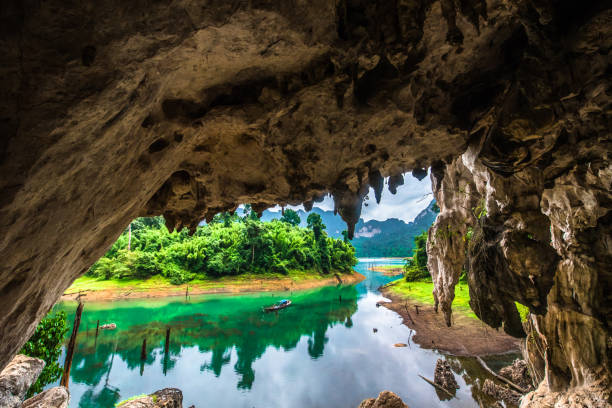 mountains and lakes in the rain forest at khao sok, surat thani, thailand - balsa tree imagens e fotografias de stock