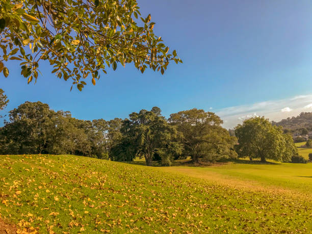 Autumn